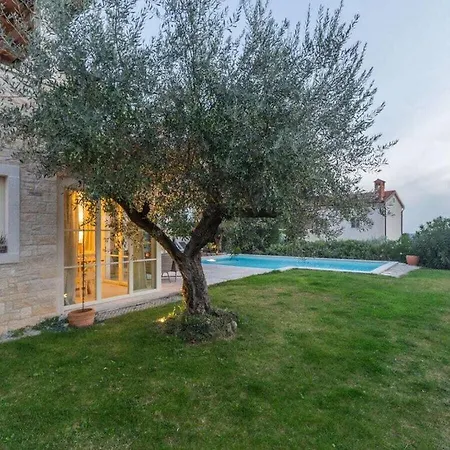 Nar With Pool And Panoramic Views Villa Sveti Lovrec Pazenaticki